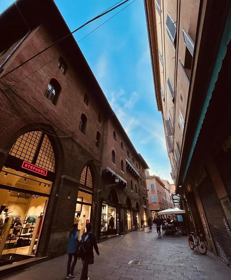 Lovely 2 Bedroom Apartment Nearby Piazza Maggiore Bologna